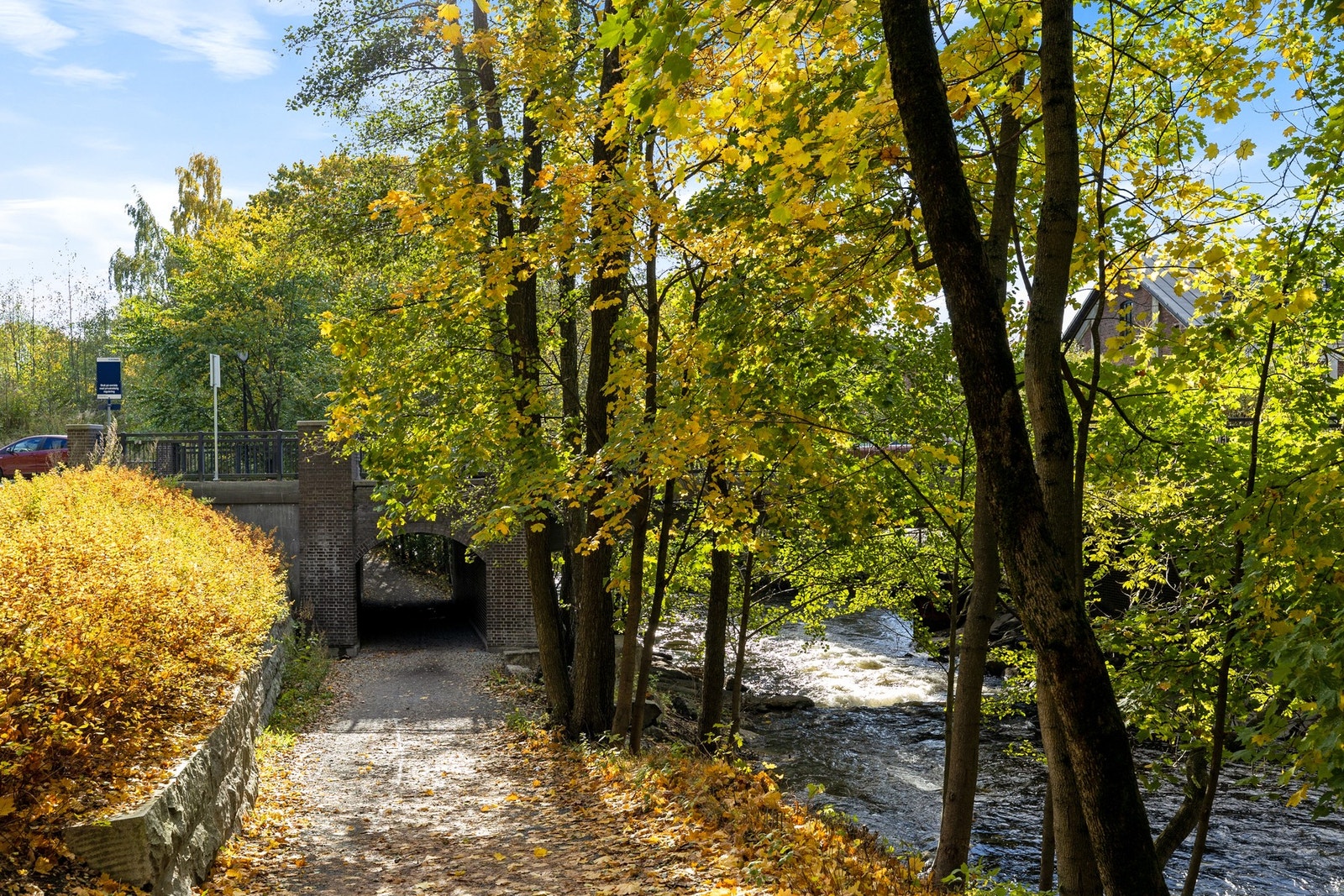 Nærområdet - Nydelige turområder langs Akerselva. Galleribilde