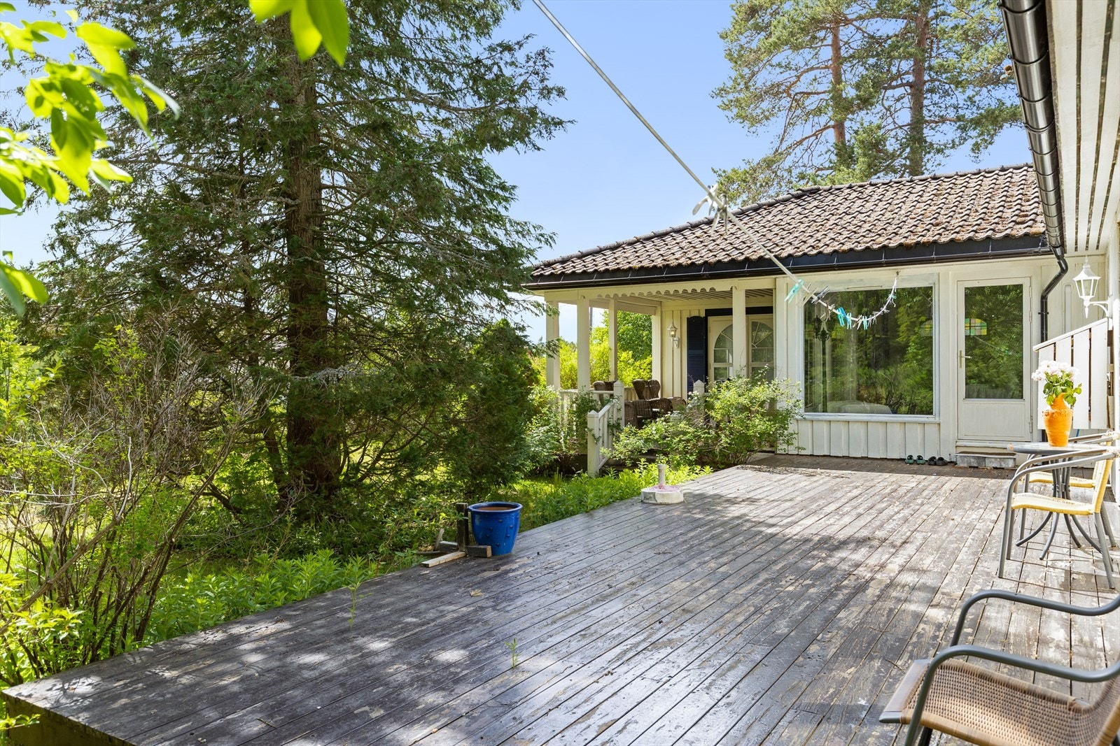 Frodig og usjenerte uteområder Galleribilde