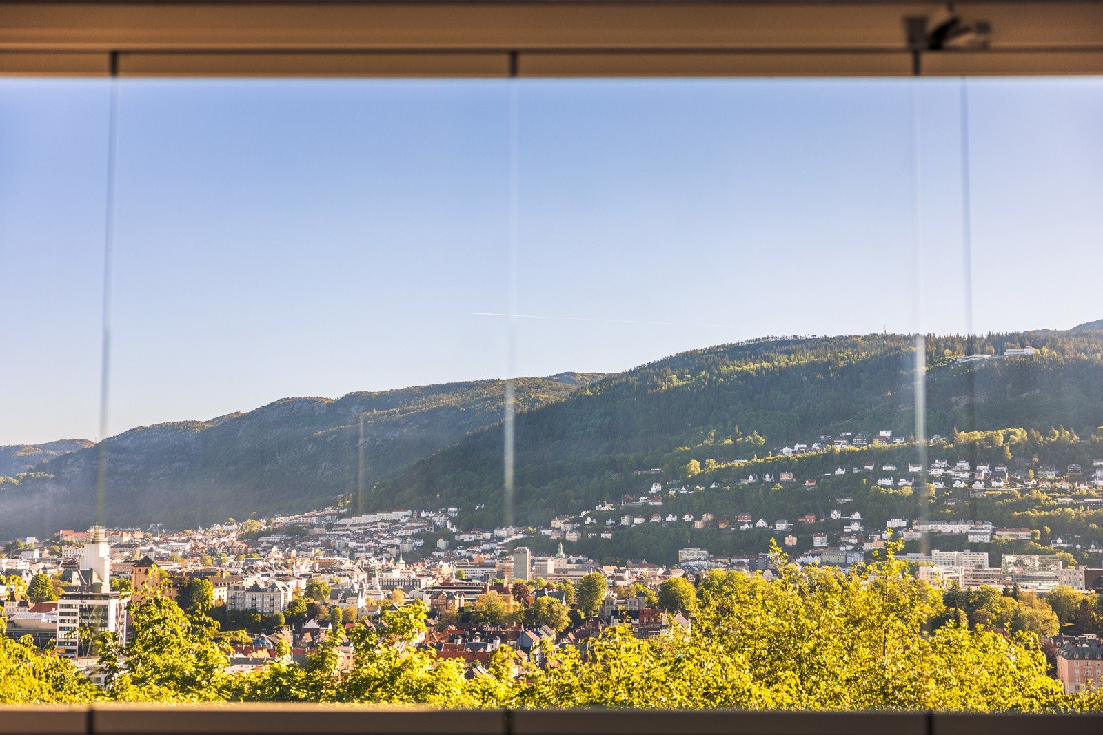 Sjekk denne utsikten. Galleribilde