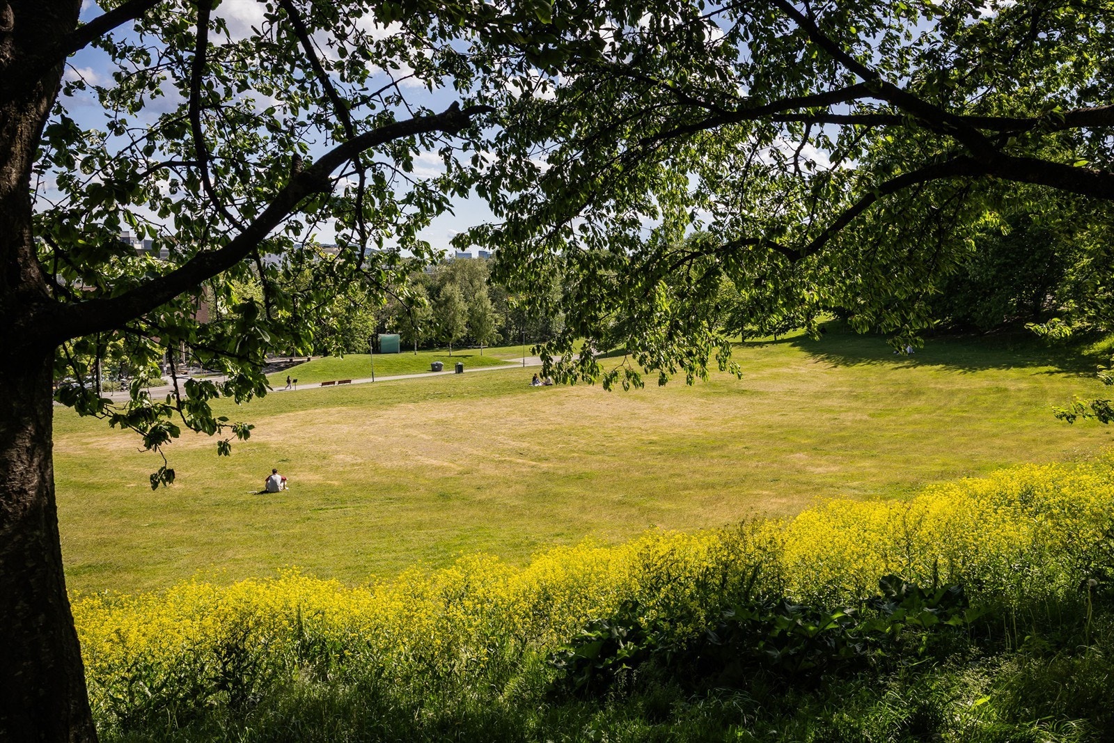 Sagene er omgitt av vakre grøntområder som gir gode muligheter for rekreasjon og friluftsliv. Rett i nærheten finner du Myraløkka, Bjølsenparken og Voldsløkka. Galleribilde