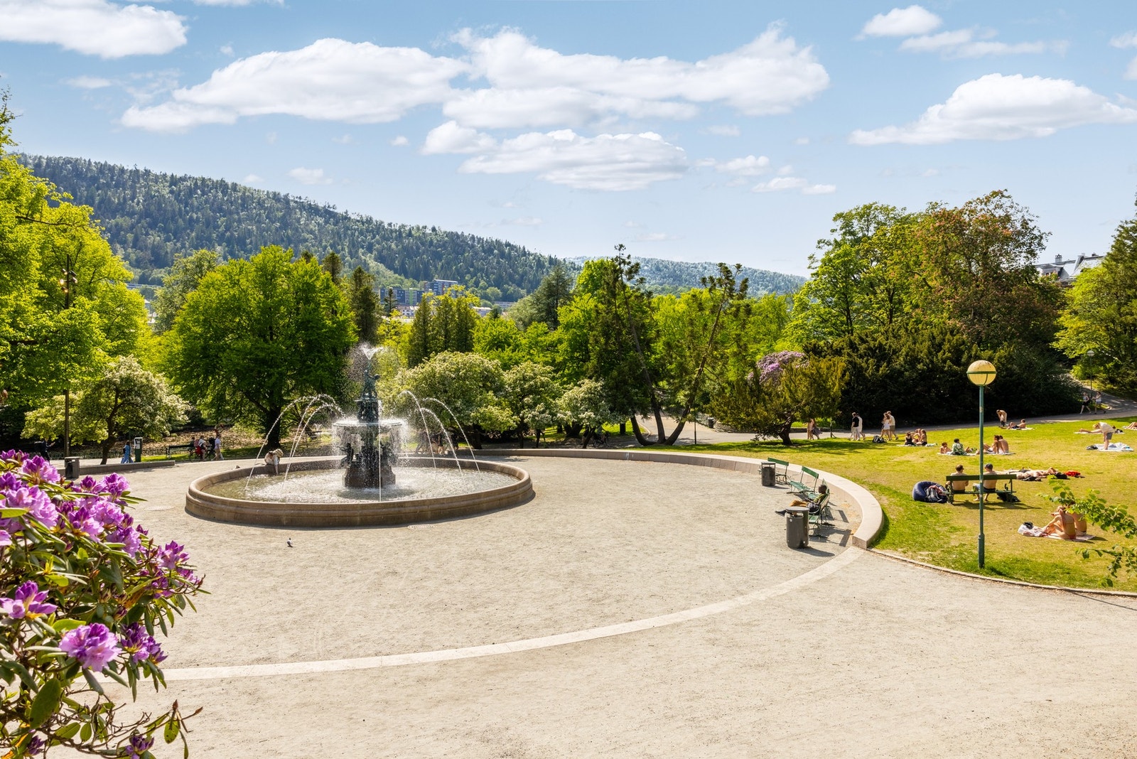 Nærområde. Galleribilde