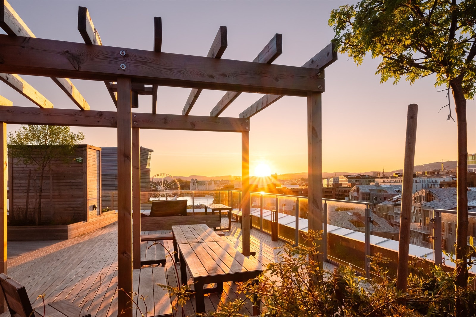 Takterrassen har diverse hyggelig beplantning som vokser seg frodig på sommerstid. Galleribilde