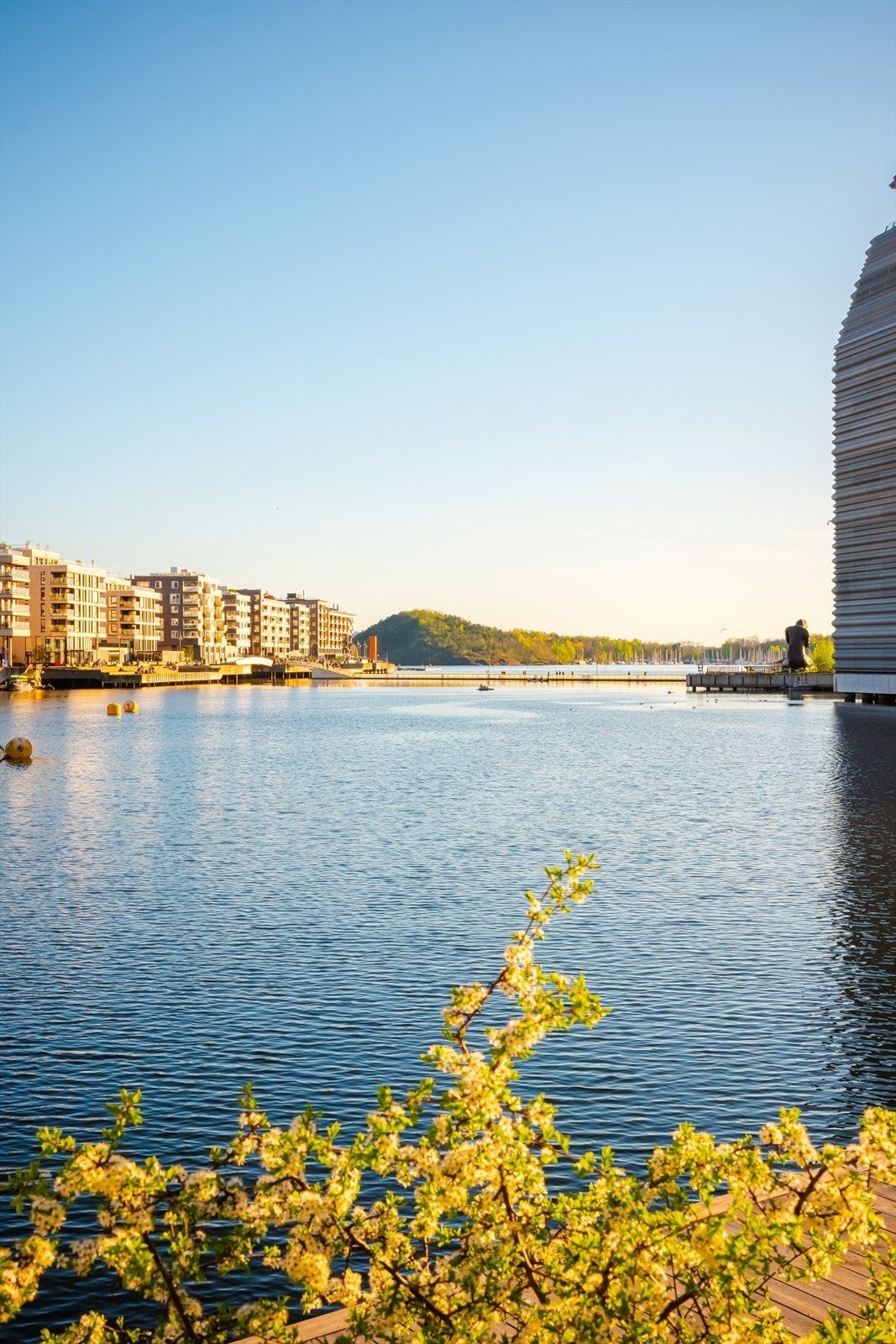 Helt ytterst på Sørenga finner man byens flotteste sjøbad. Sjøbadet er et stort og åpent rekreasjonsområde med direkte tilgang til sjøen, fine sitteplasser og utendørsbasseng for både store og små. Galleribilde