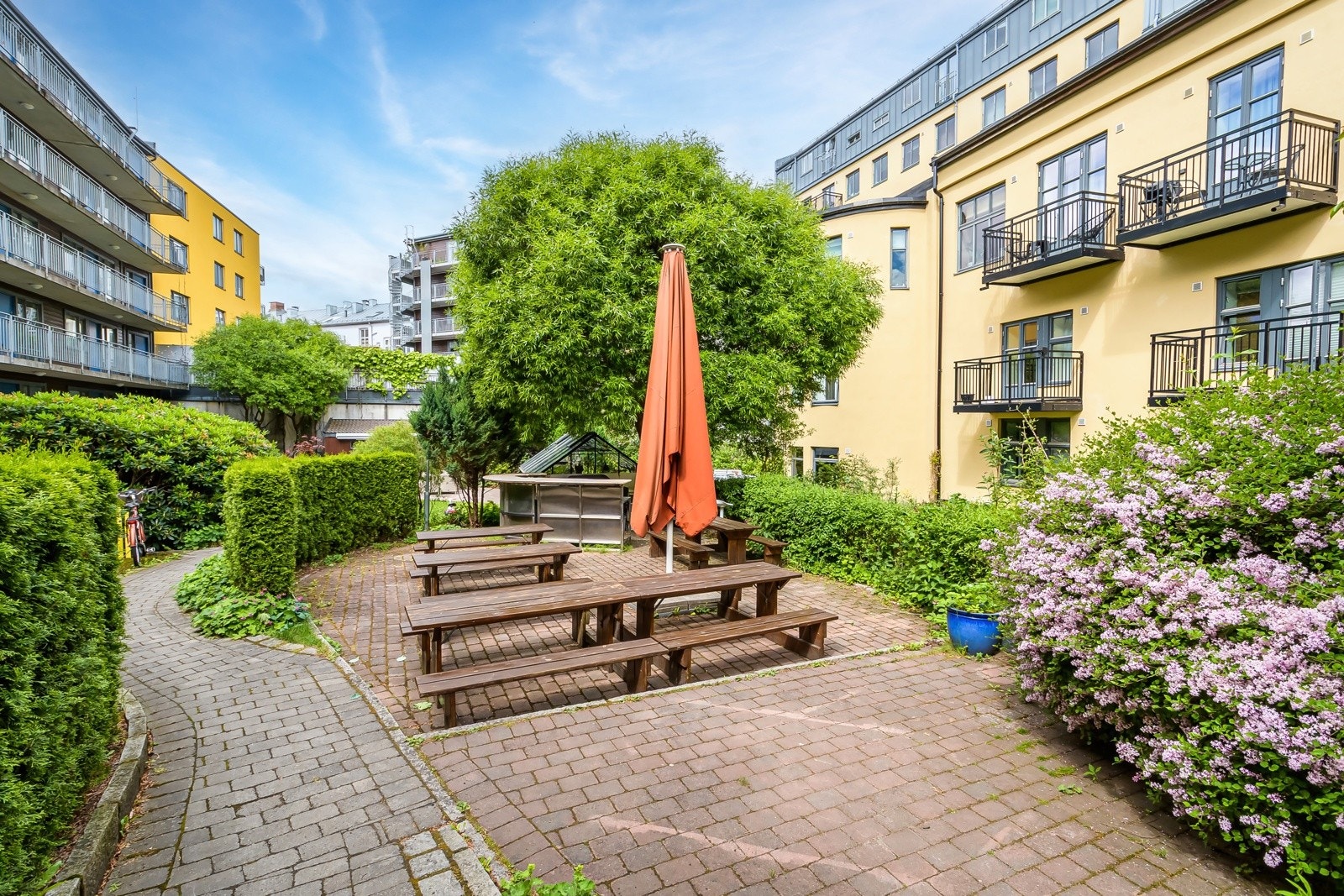 - Felles bakgård - Galleribilde