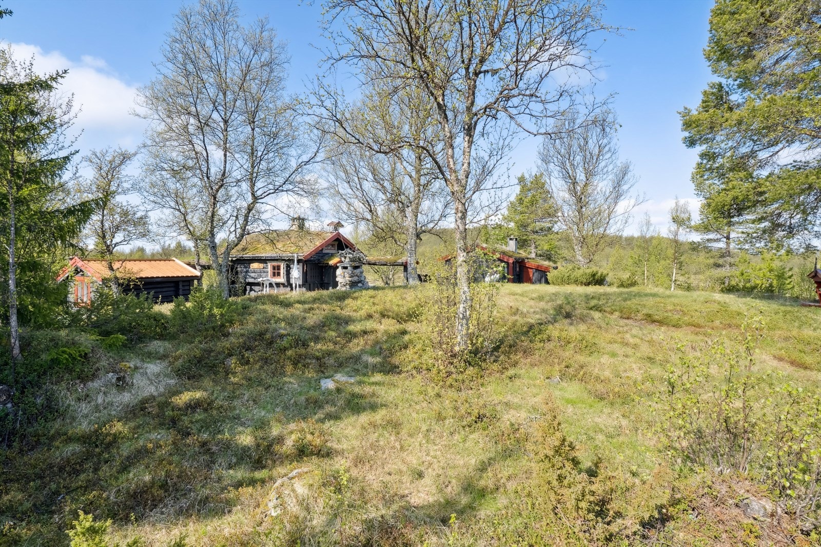 I området er det flotte jaktterreng, hvor det jaktes både småvilt og storvilt. Galleribilde
