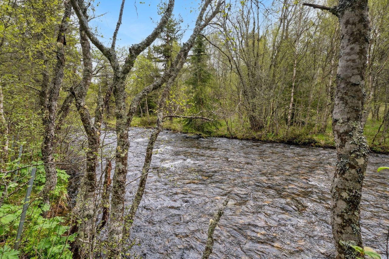 Auma elva har du utsikt til fra terrassen og tomta. Galleribilde