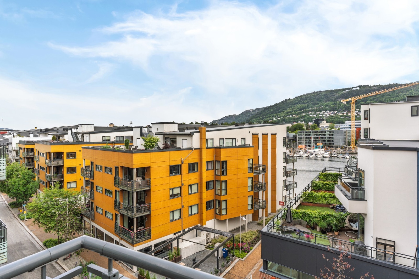 Flott utsikt. Galleribilde