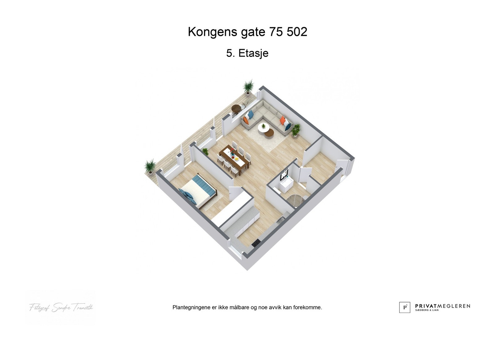 - 3D plantegning (ikke målbart) - Galleribilde