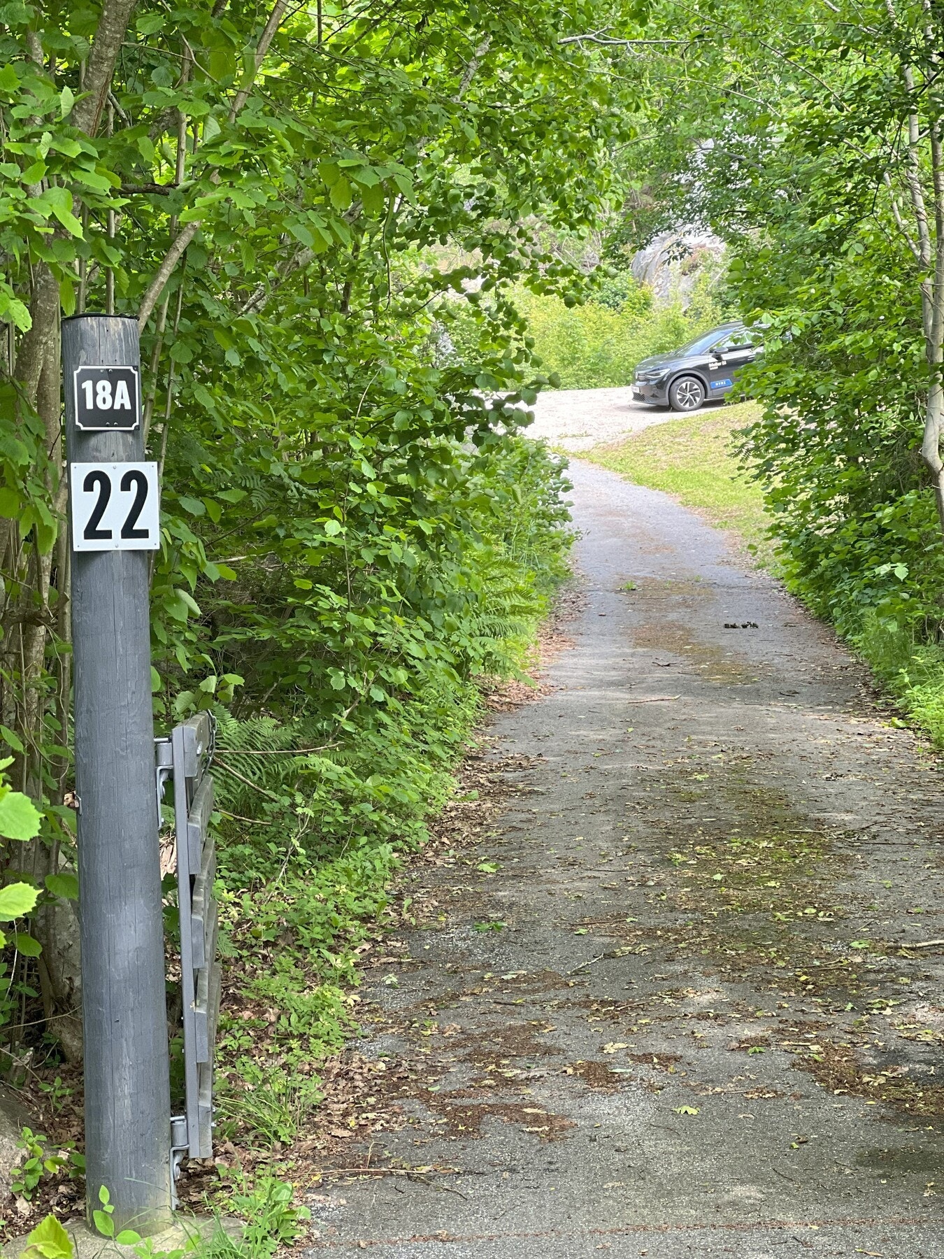 Asfaltert vei hele veien frem til hytta Galleribilde