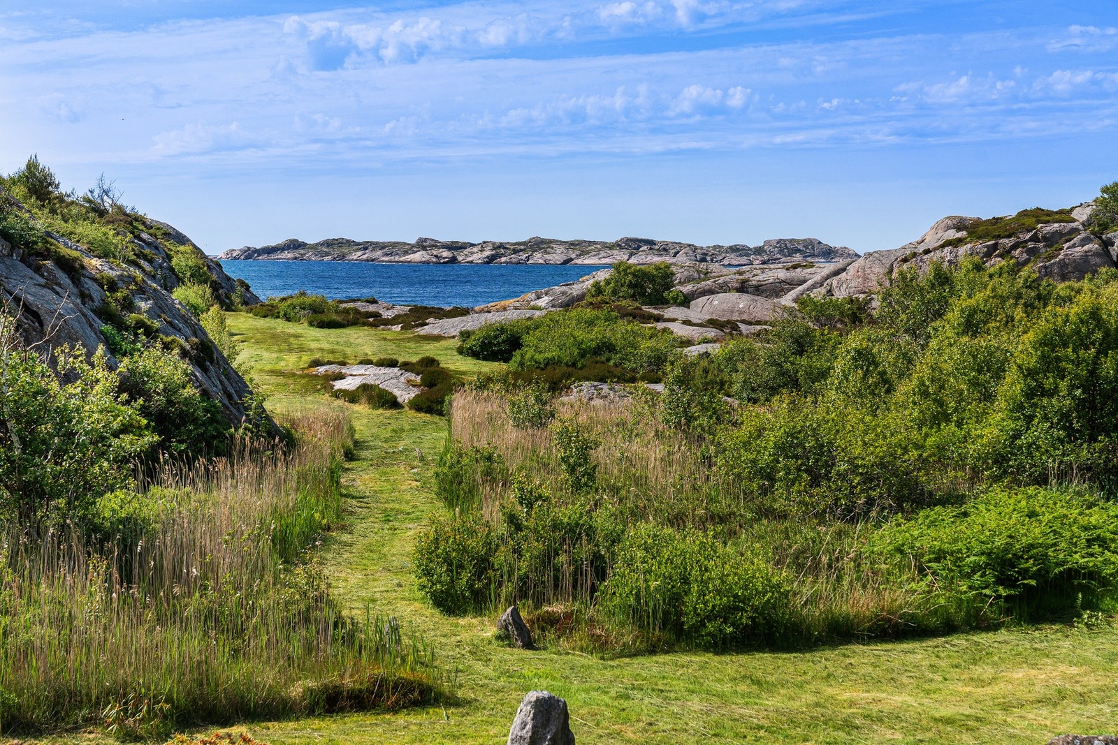 Fra uteområdet Galleribilde