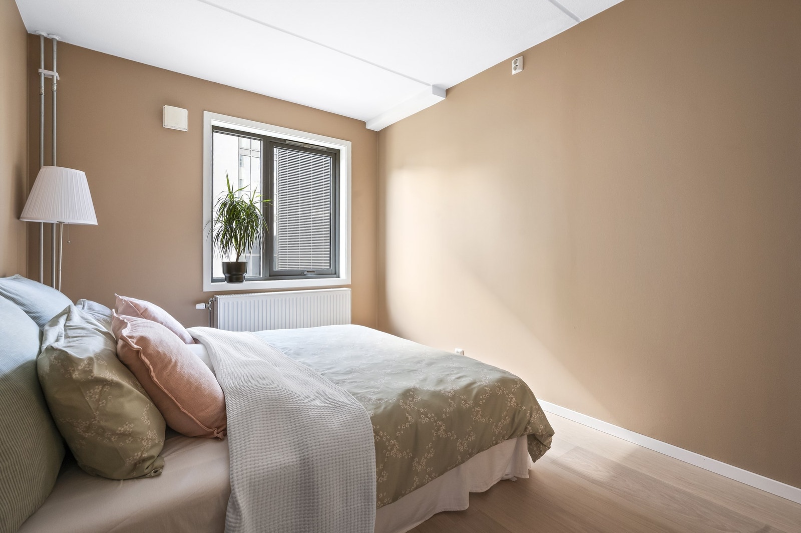 DSC_9532.jpg Galleribilde