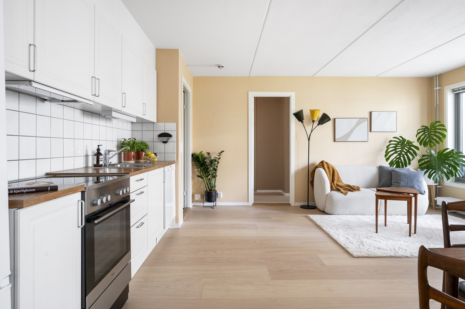 Ventilator over kokeplass med mekanisk avtrekk. Husbrannslange i kjøkkenskap. Galleribilde