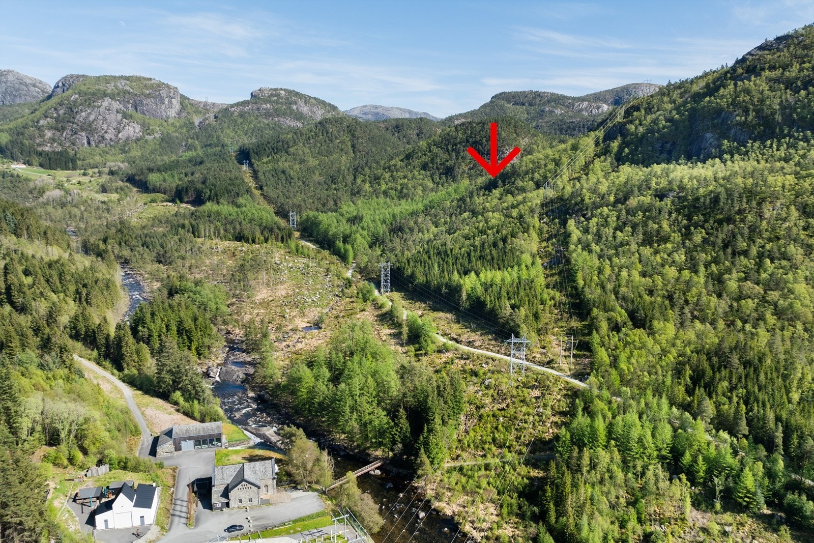 Eiendommen består i stor grad av ungskog med redusert uttak Galleribilde