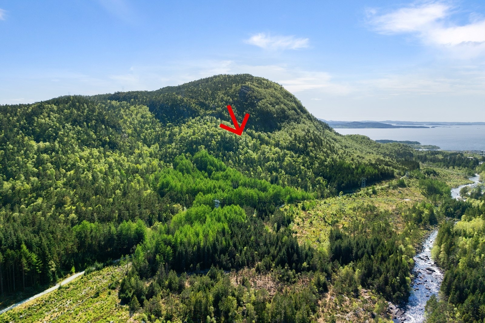Landbrukseiendom med skogsparsell i Selemork på ca 115 dekar Galleribilde