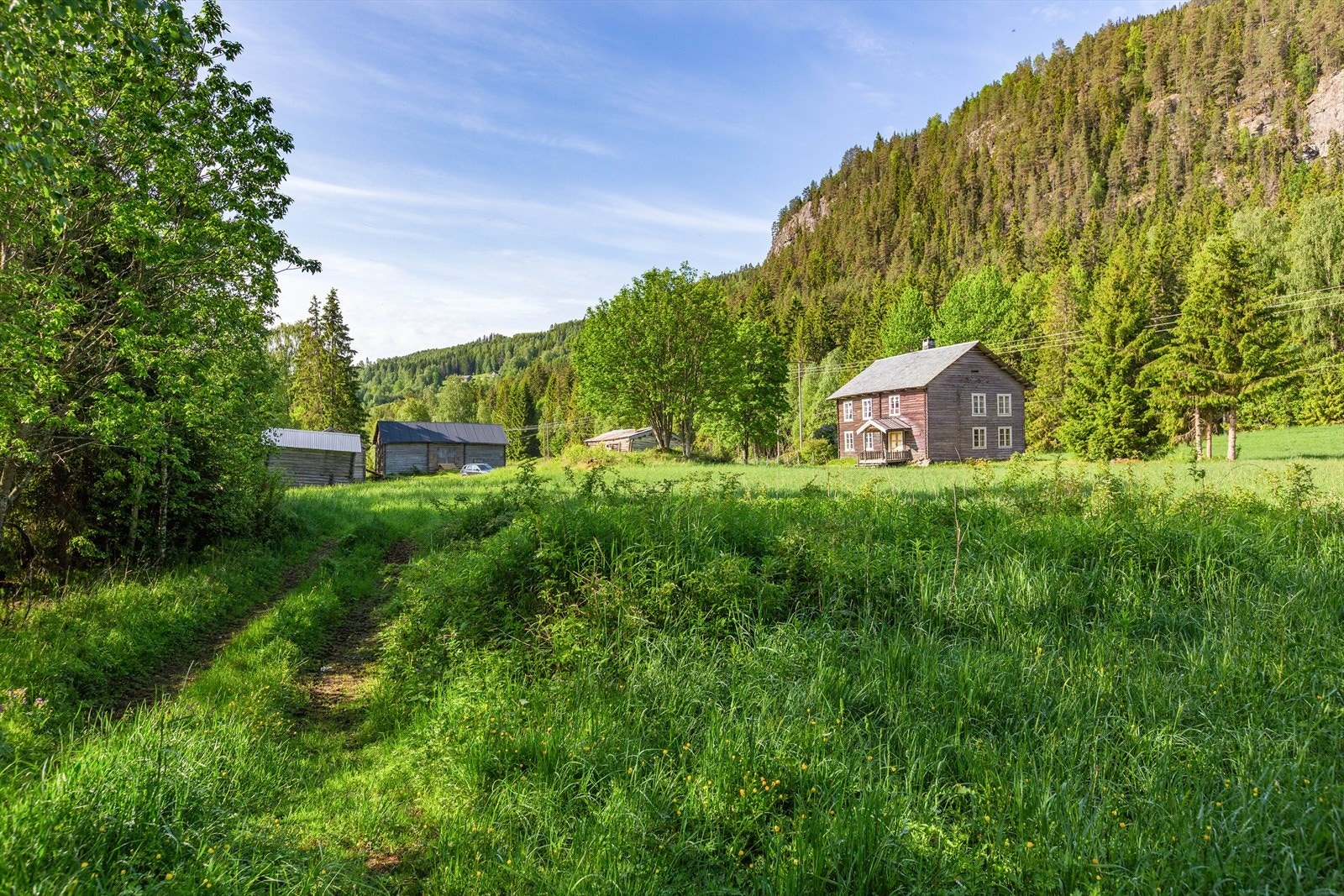 Eiendommen ligger idyllisk til på vestsiden av Leira, med frodig natur og et rikt dyreliv rett utenfor døren - ofte besøkt av både rådyr, hjort og elg. Galleribilde