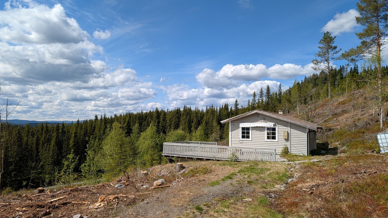 Bilvei frem til hytta. Galleribilde