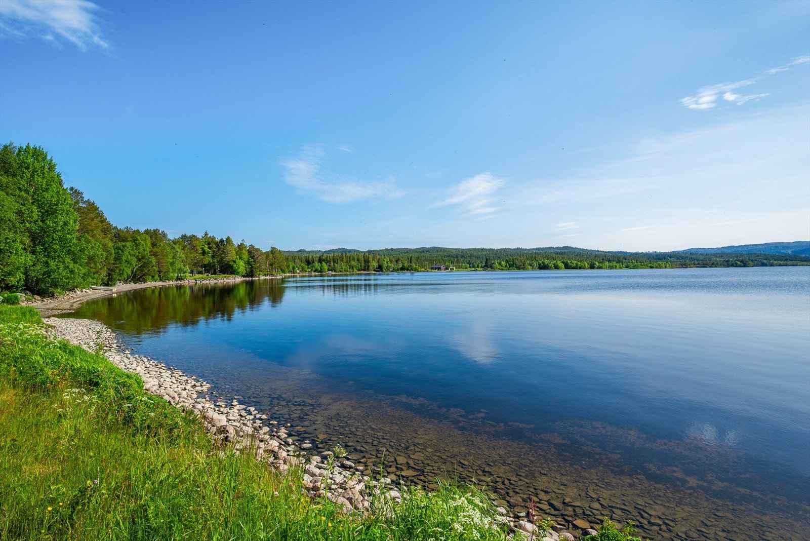 Nærområde Galleribilde
