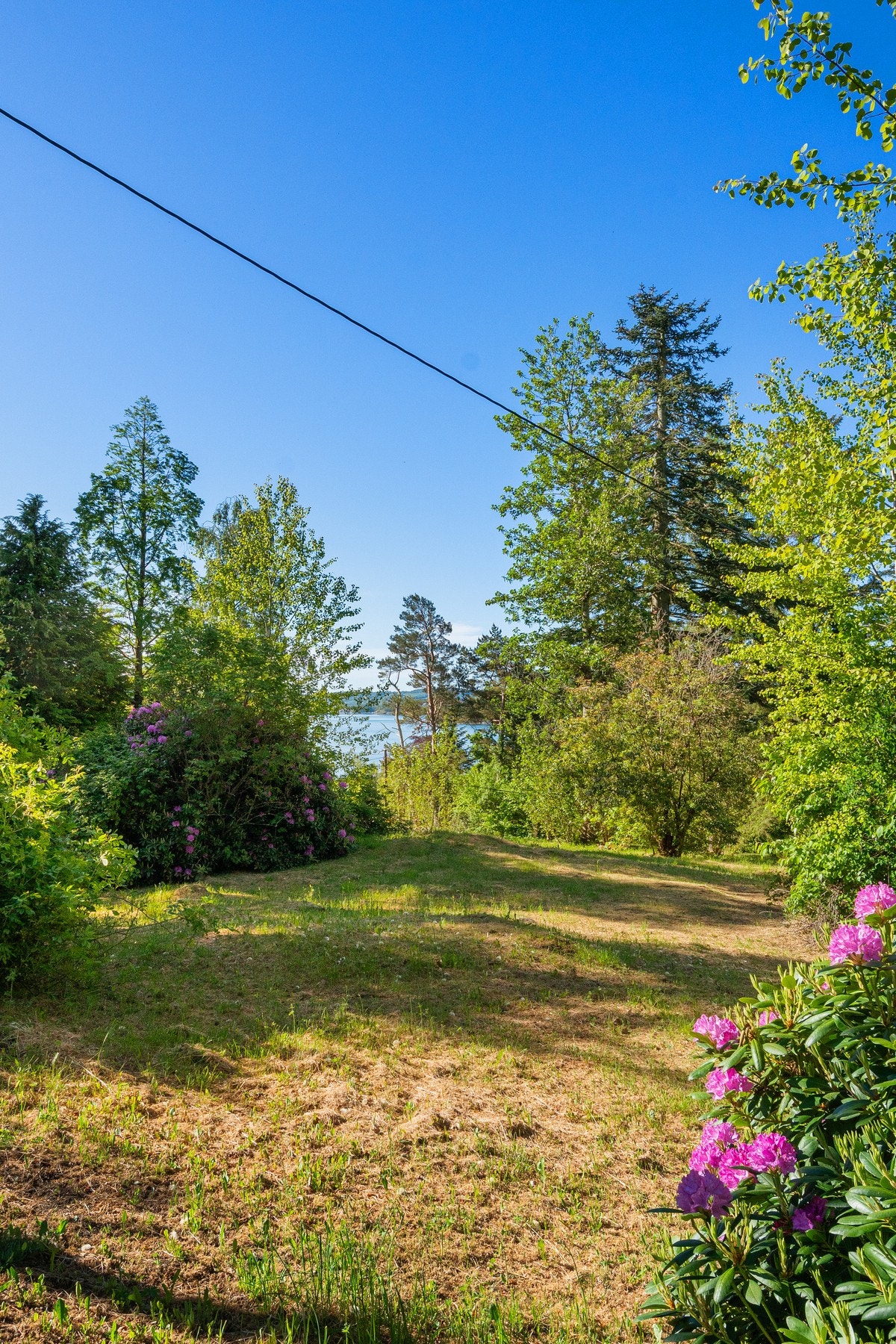 Det er mye trær på egen tomt. Kan få mer utsikt ved trefelling. Galleribilde