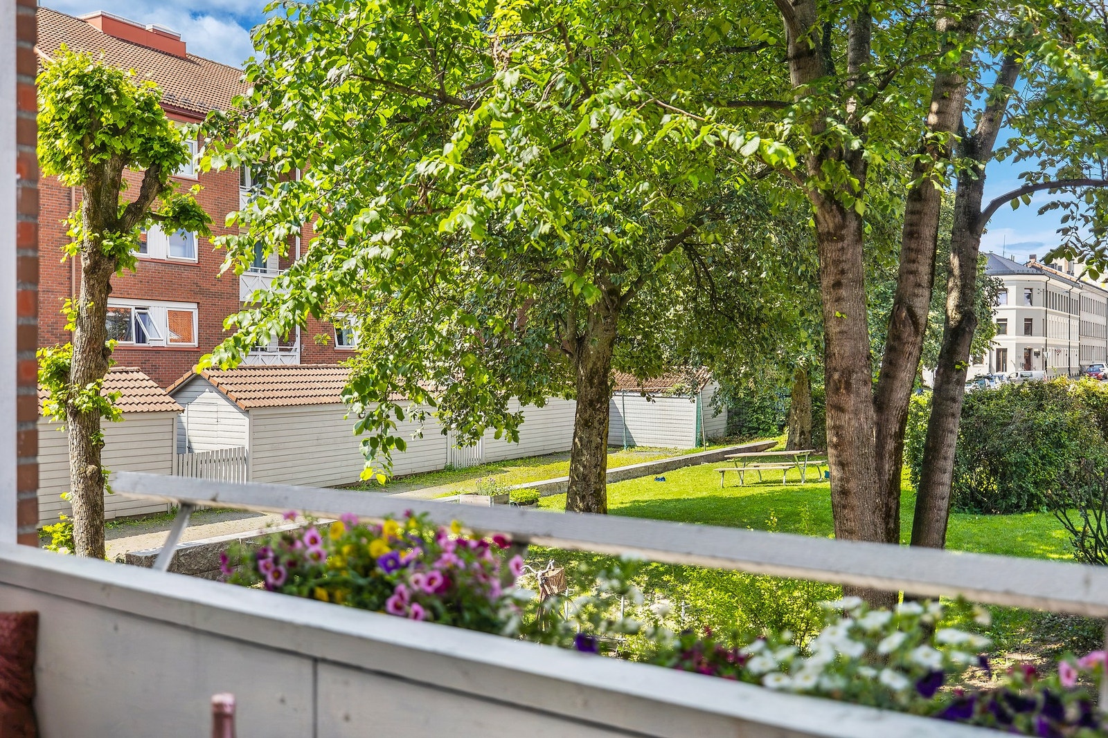 Hyggelig utsyn. Galleribilde