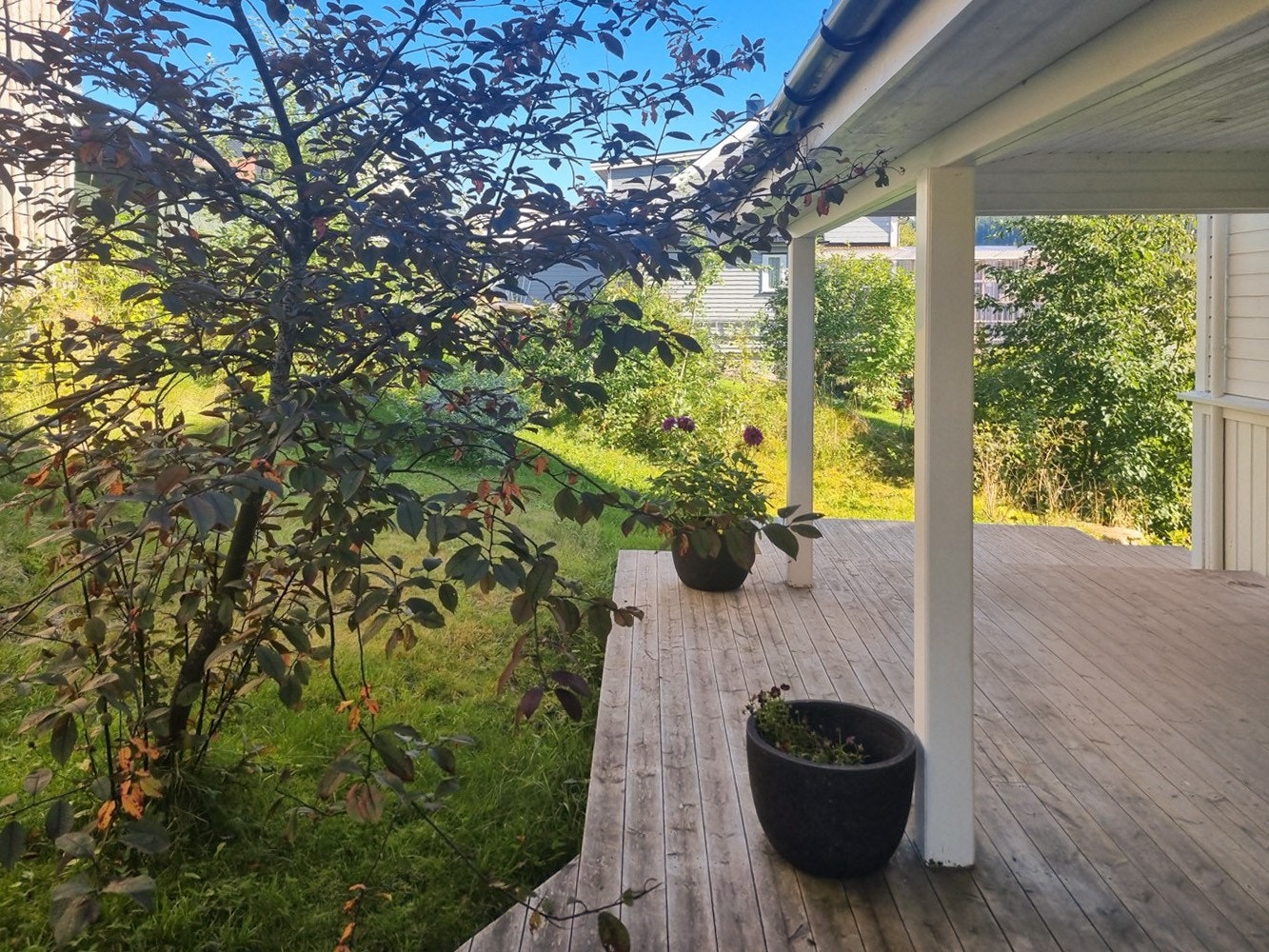 Hage (selgers egne bilder) Galleribilde