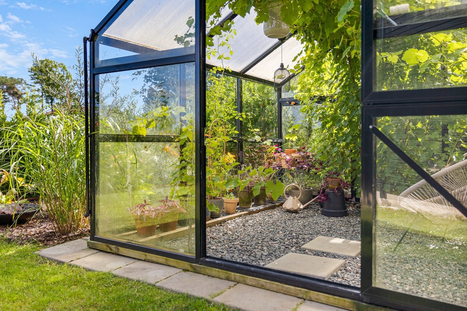 Drivhus med fantastiske groforhold. Galleribilde