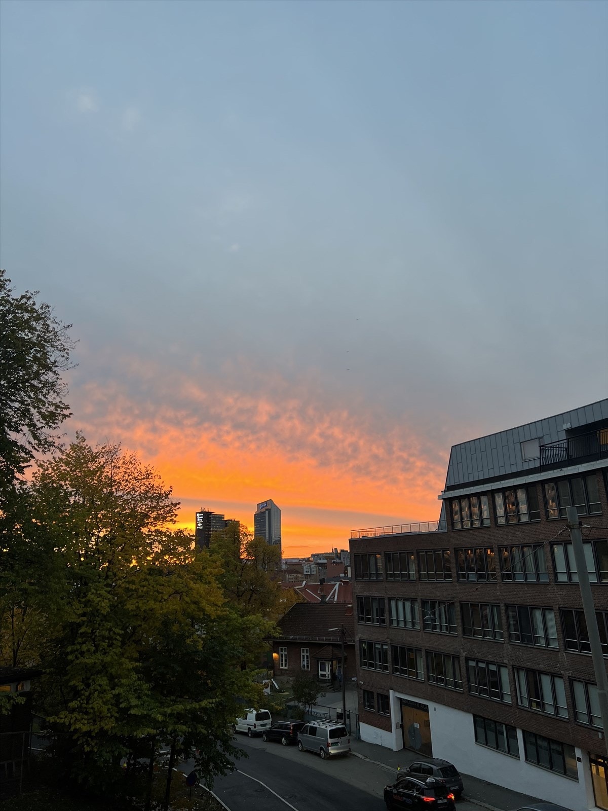 Kveldsstemning Galleribilde