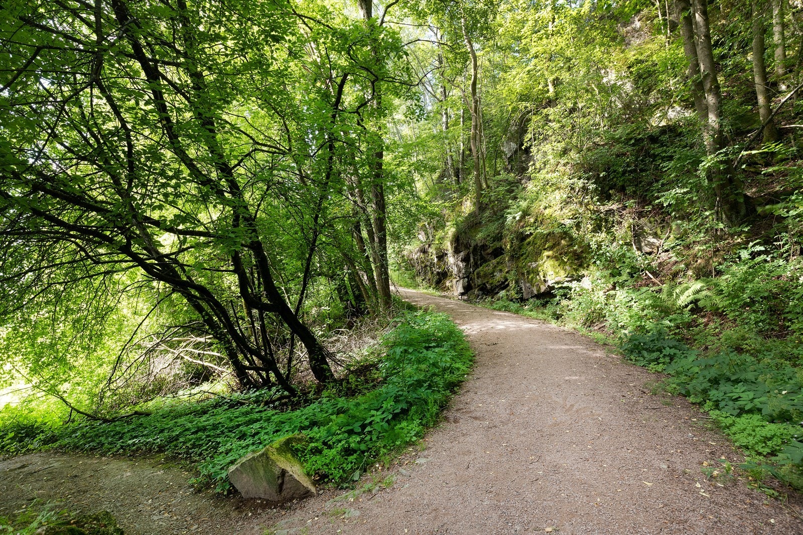 Om du ønsker å benytte deg av turområdene ved leiligheten har du både Hamborgstrømskogen og elvepromenaden like ved Galleribilde