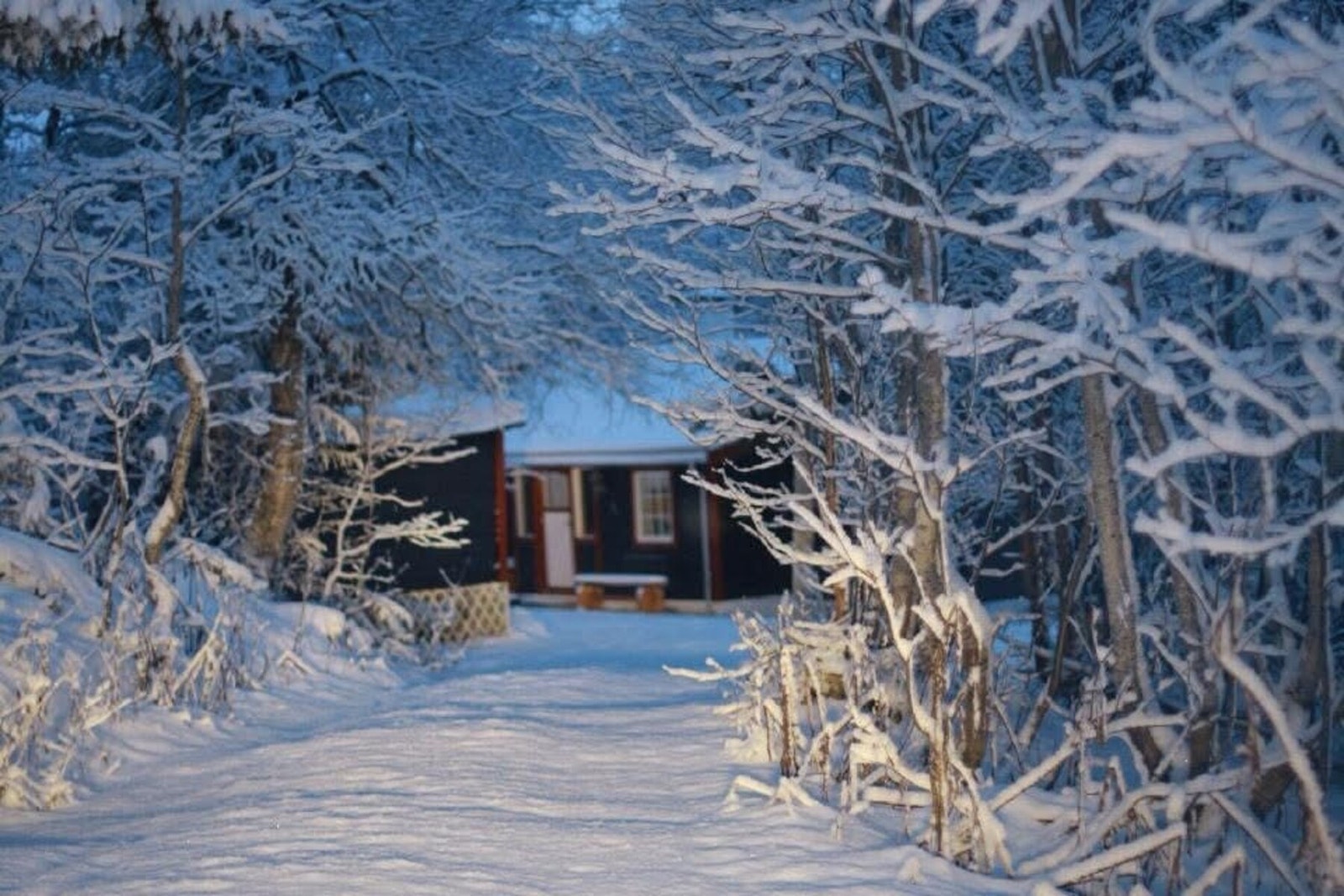 Selger private bilder Galleribilde