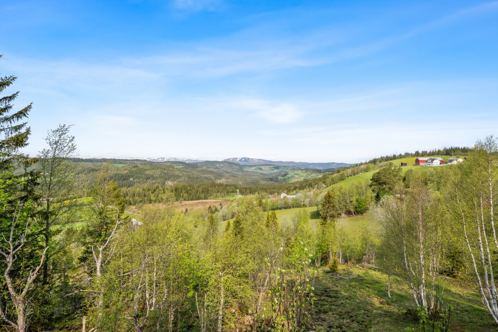 Utsikt fra eiendommen. Galleribilde