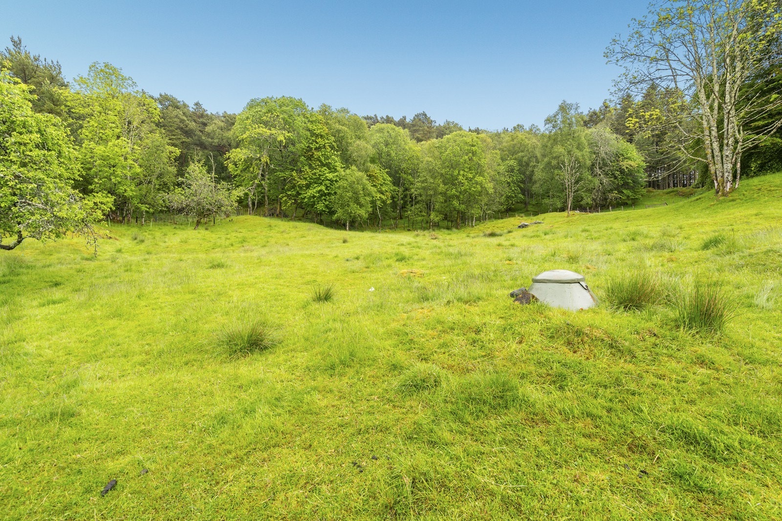 Den store eiendommen blir benyttet til beite i dag. Den består av dyrket mark og skog Galleribilde