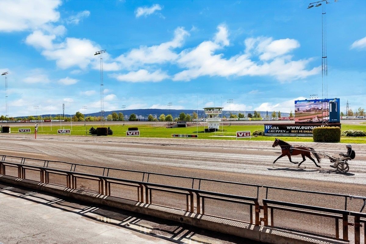Rett i nærheten så finner du blant annet Bjerke Travbane, som er et populært sted for hesteløp og arrangementer. Galleribilde