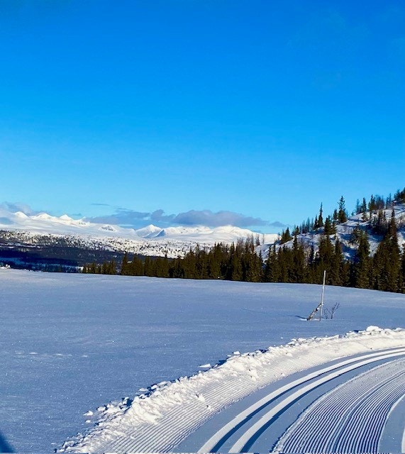 Skiløper med Rondane i bakgrunnen Galleribilde