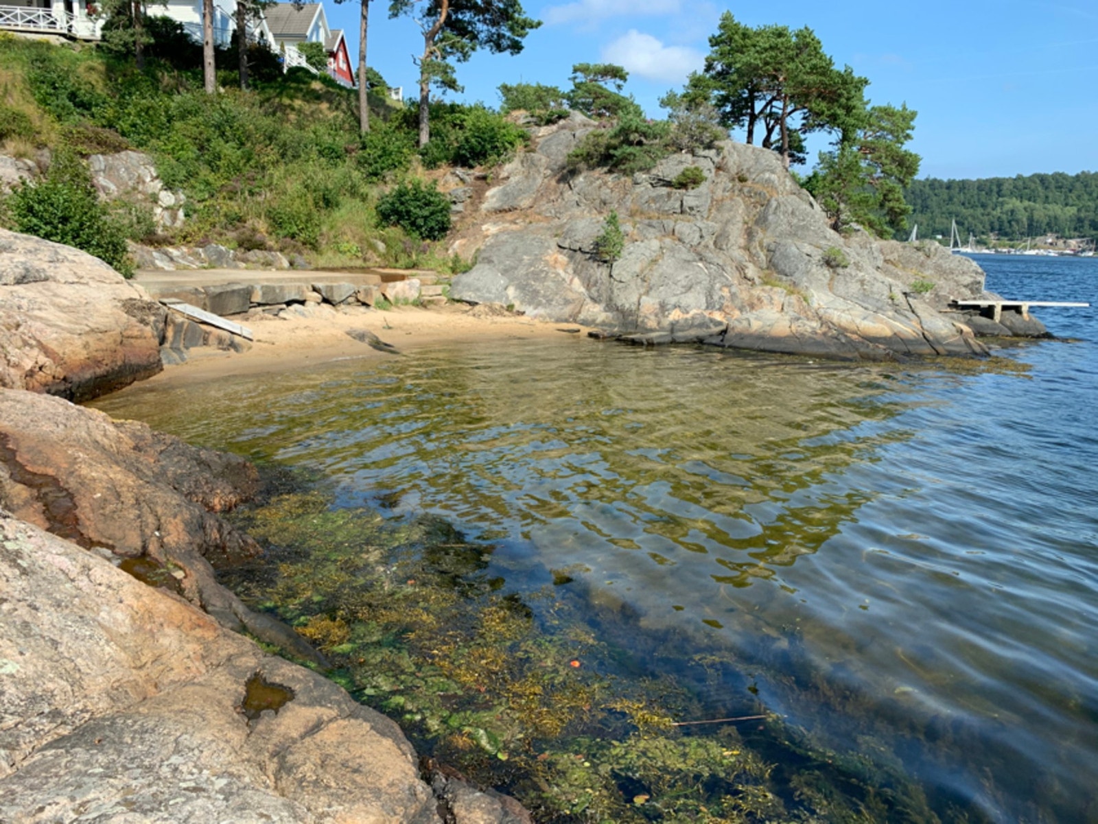 Felles sandstrand Galleribilde