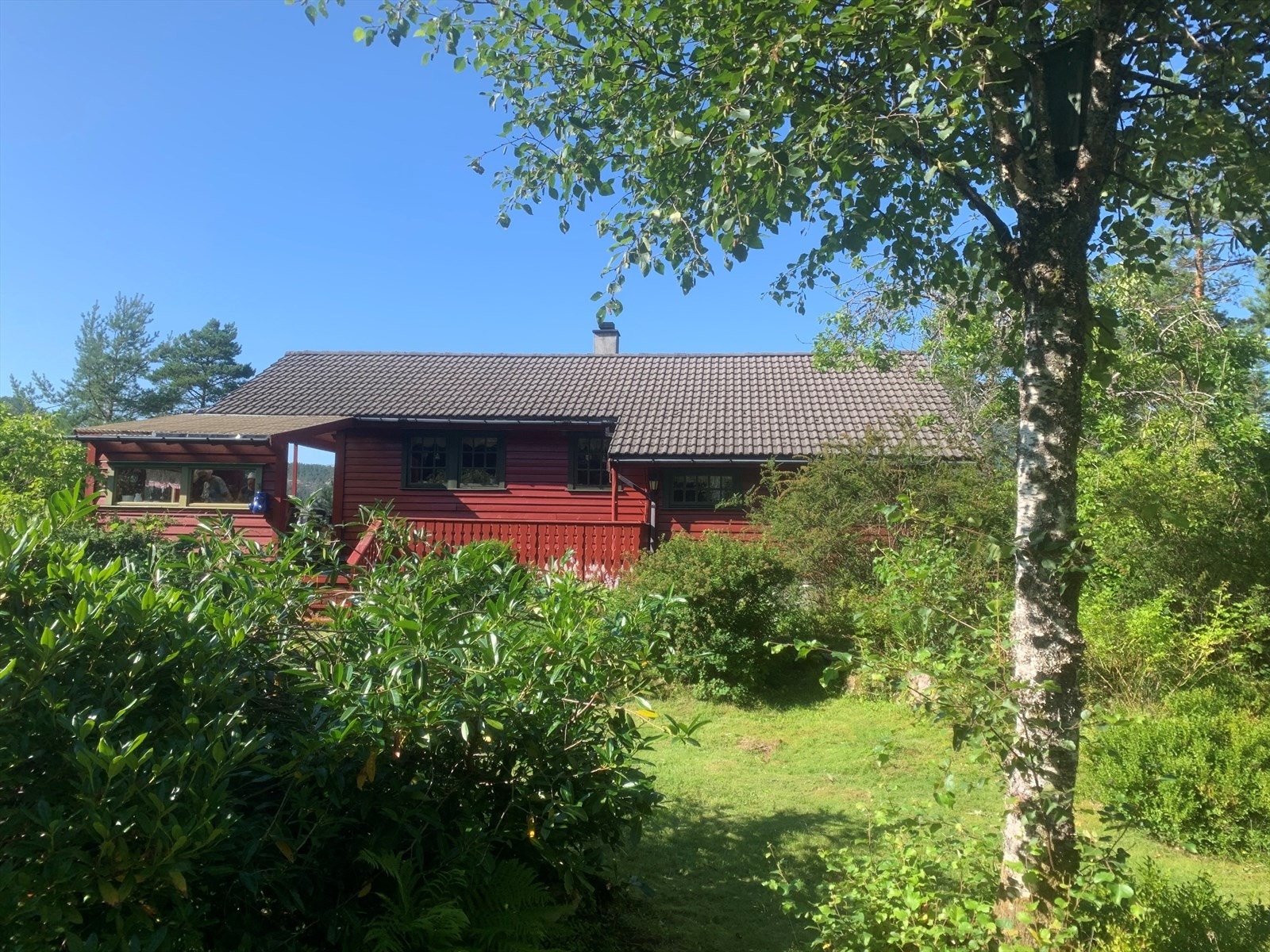 Velkommen til Barlindbotn - hytte med fin og frodig hage Galleribilde