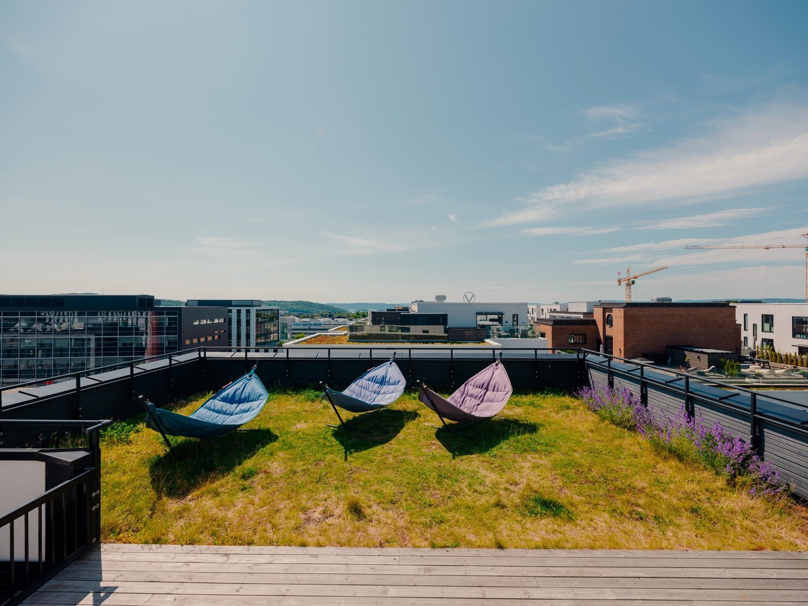 Felles takterrasse med flott utsikt - perfekt til sosiale sammenkomster. Galleribilde