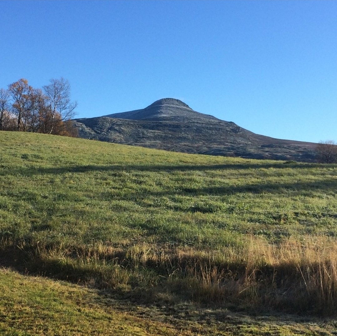 Fantastiske ski-, fjell- og turmuligheter i nærområdet (selgers private foto) Galleribilde
