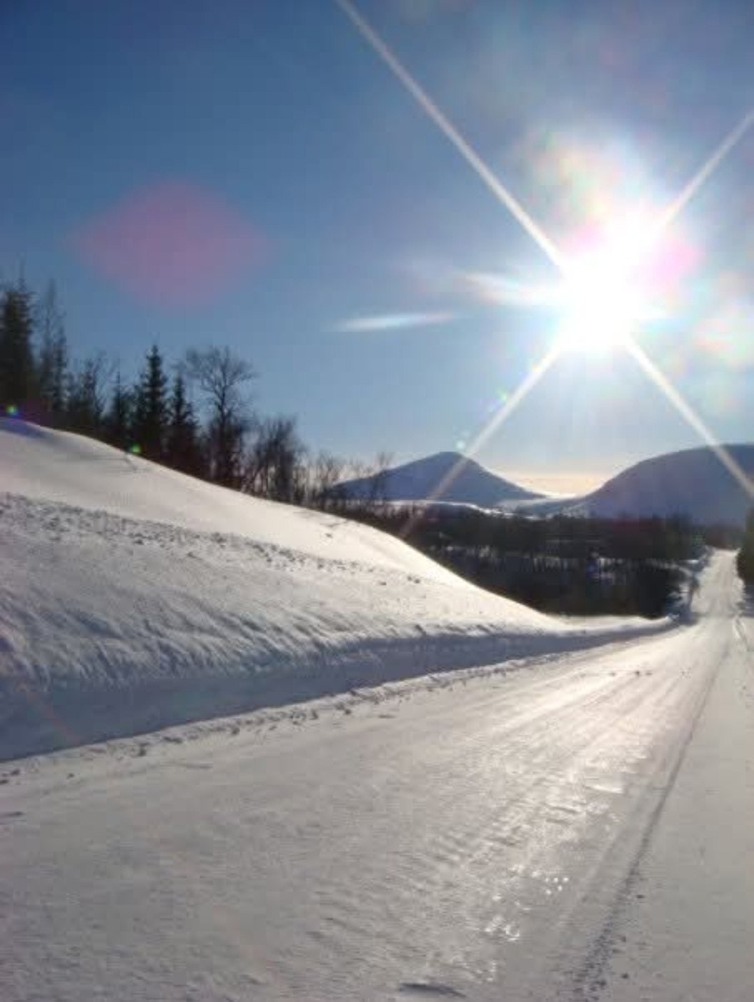 Fantastiske ski-, fjell- og turmuligheter i nærområdet (selgers private foto) Galleribilde