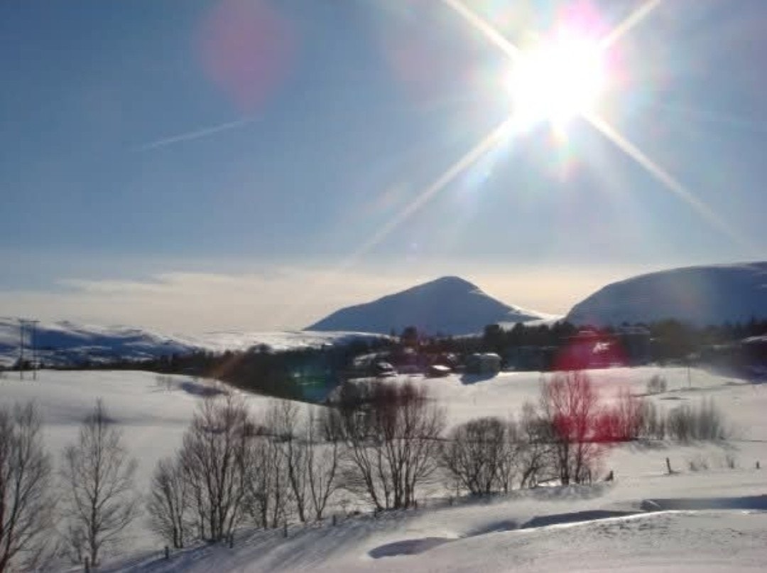 Fantastiske ski-, fjell- og turmuligheter i nærområdet (selgers private foto) Galleribilde