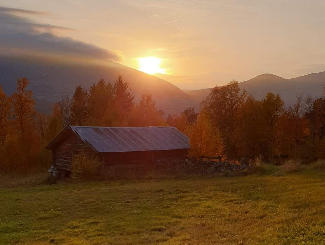 Selgers private foto Galleribilde