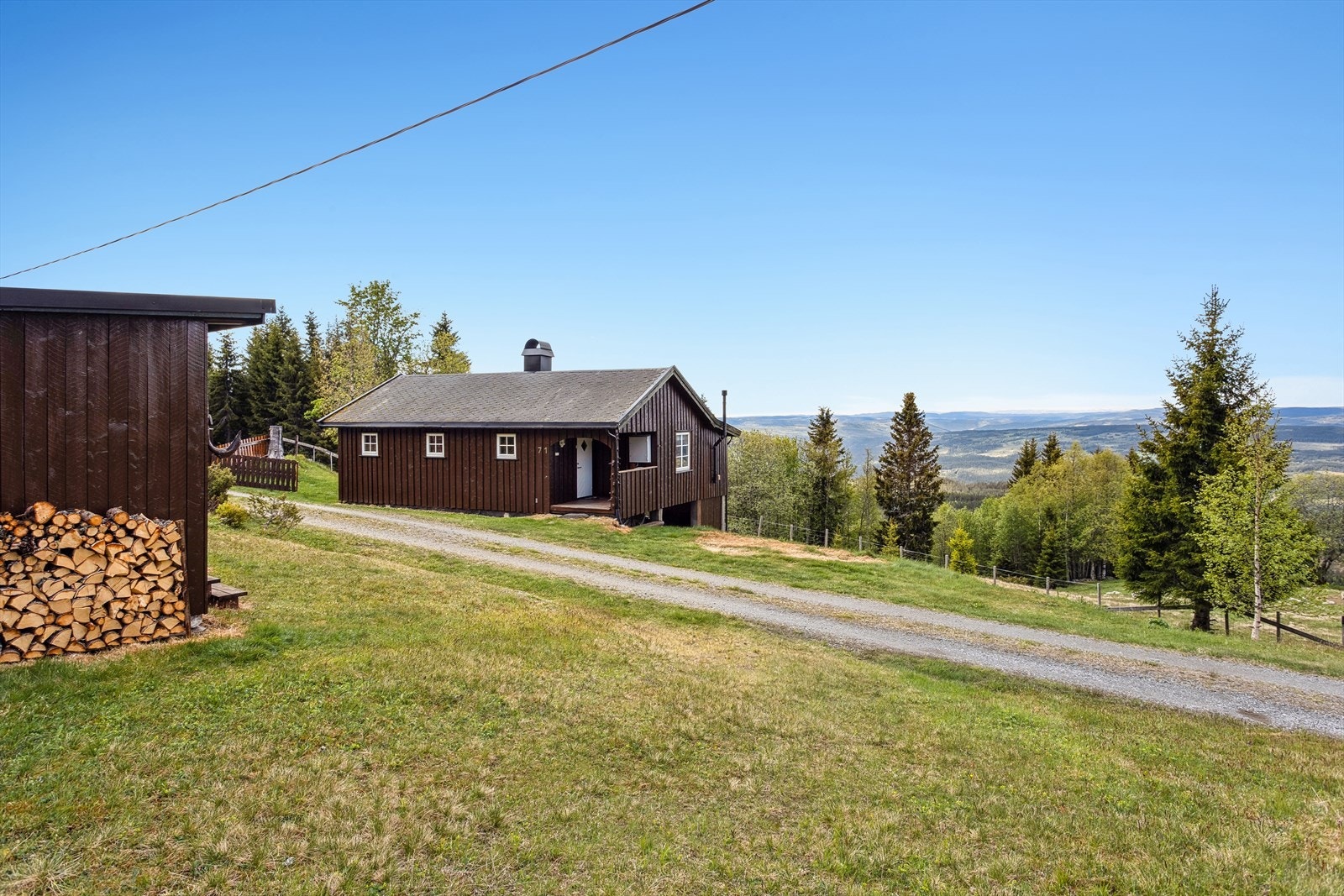 Fine turstier i nærområdet Galleribilde