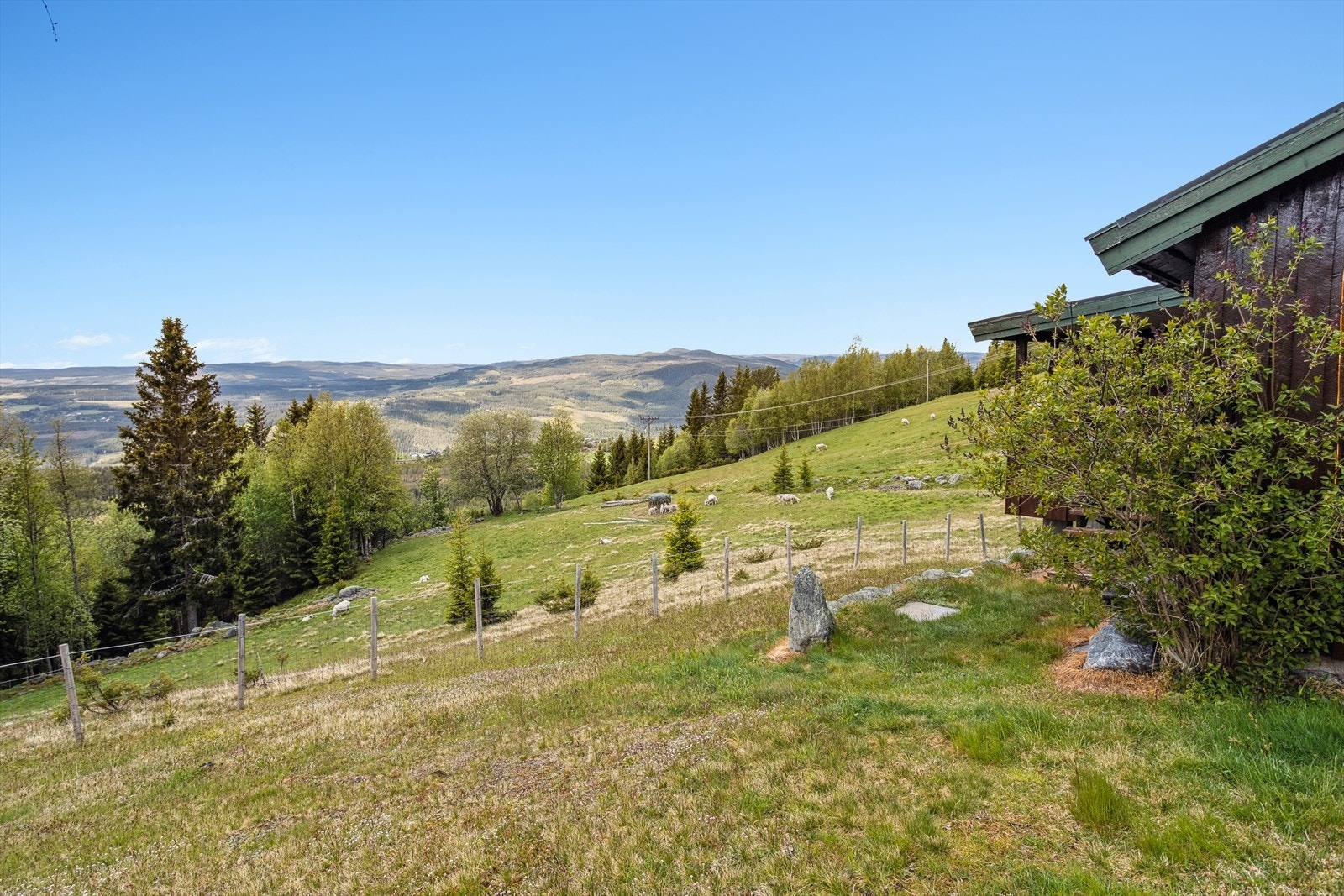 Hytta ligger fint til i rolige omgivelser. Galleribilde