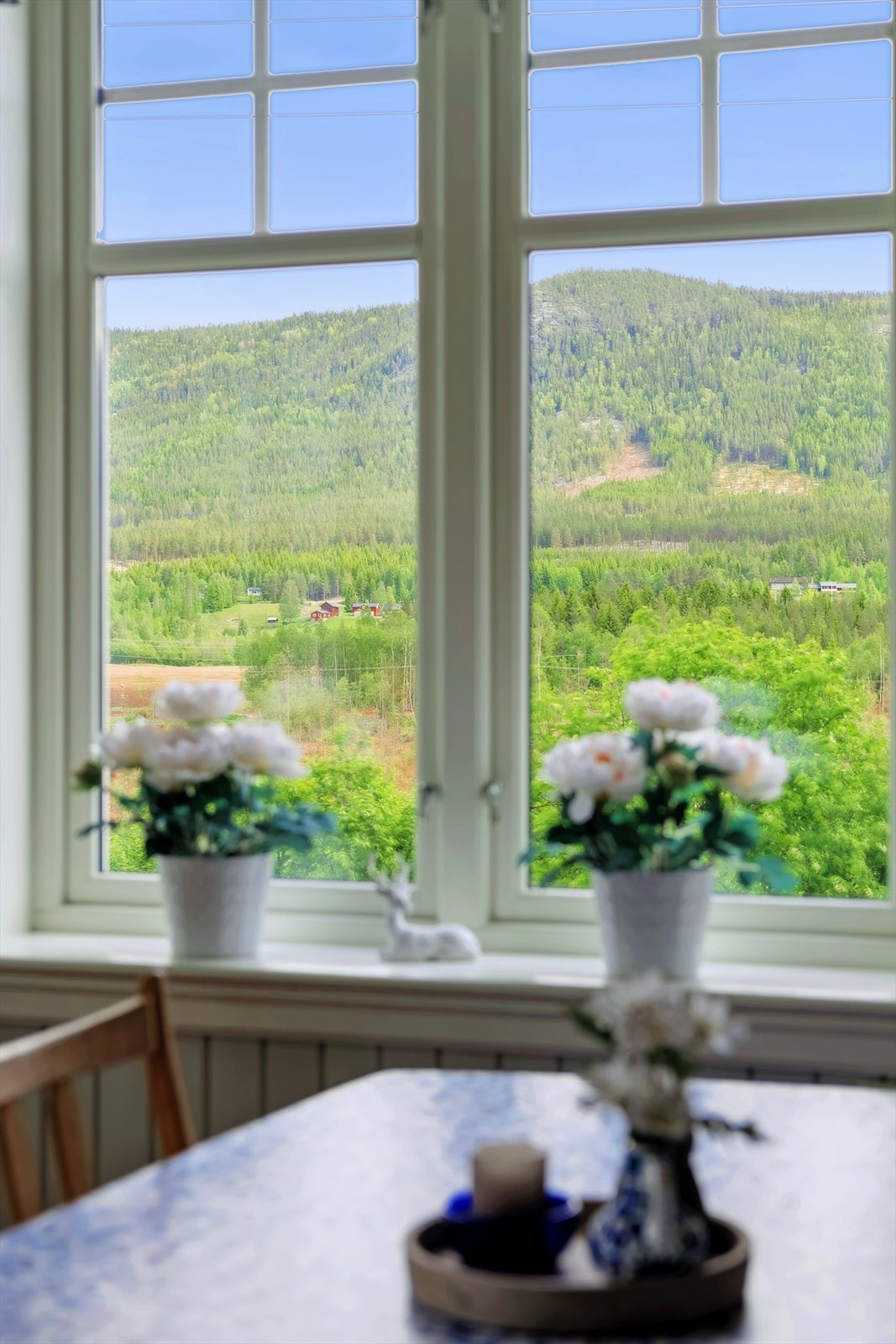 Utsikt fra kjøkkenbordet Galleribilde