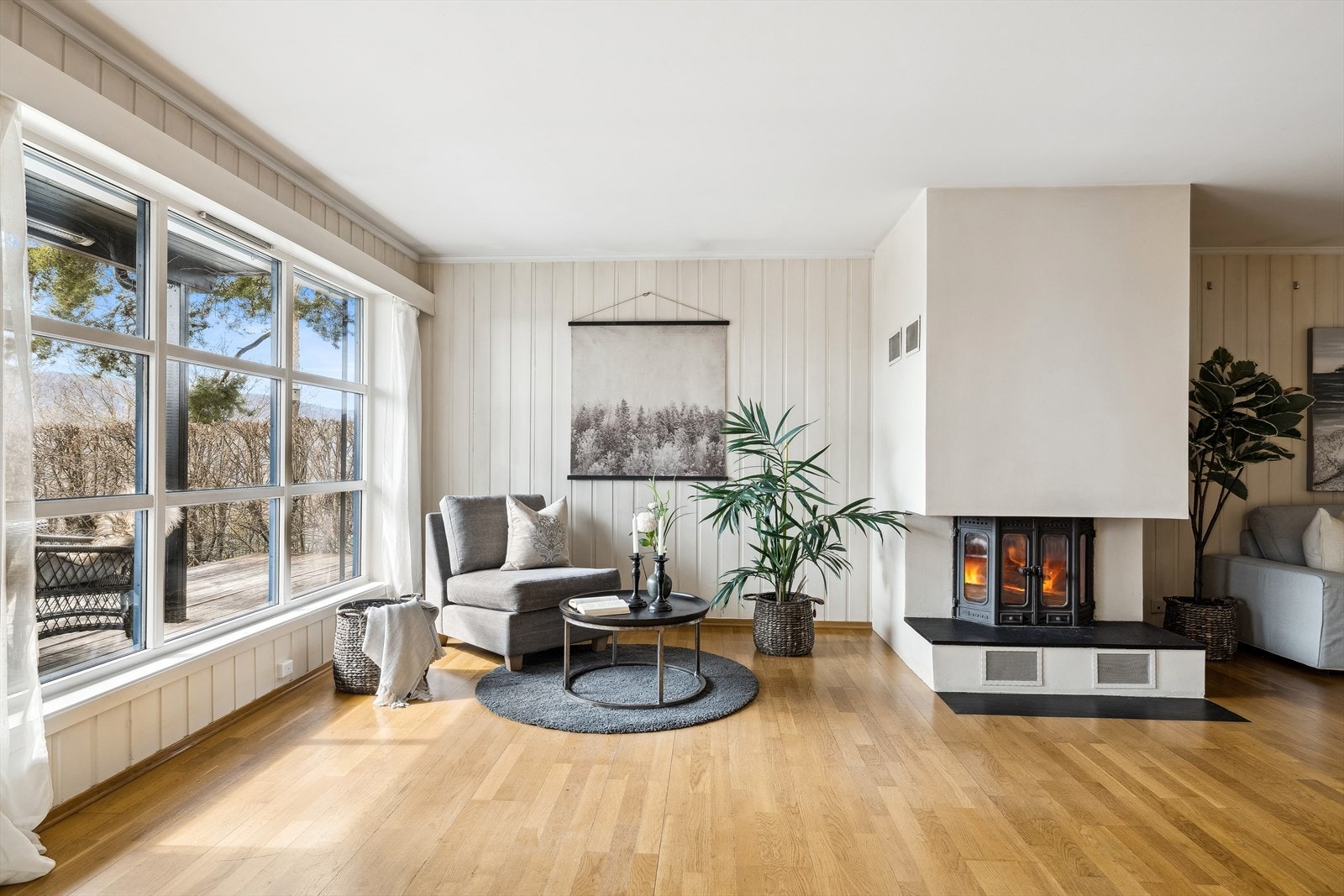 Pen peisinnsats i stuen. Siste feiing desember 2024 Galleribilde