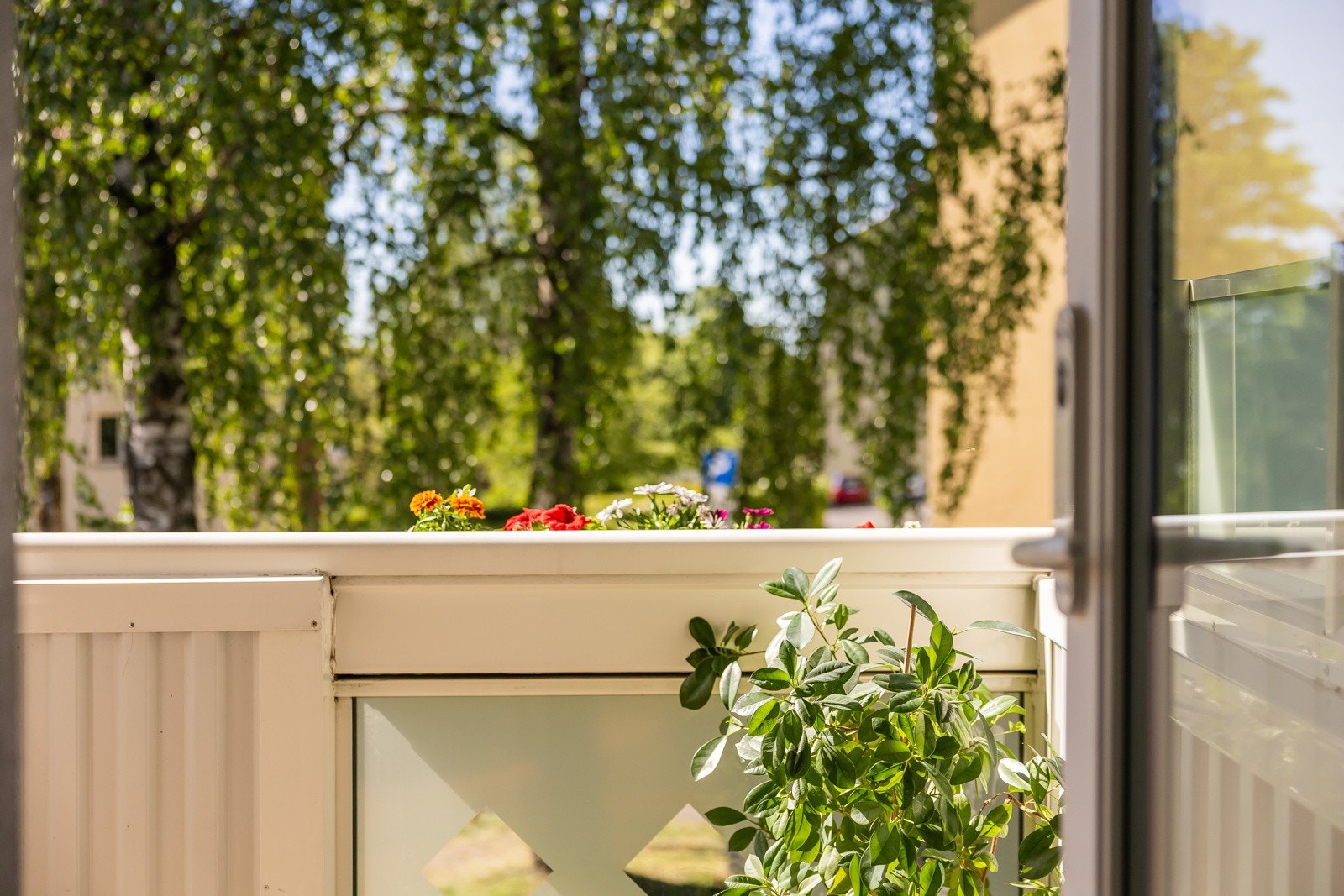 Her opplever du landlig idyll midt i byen. Galleribilde