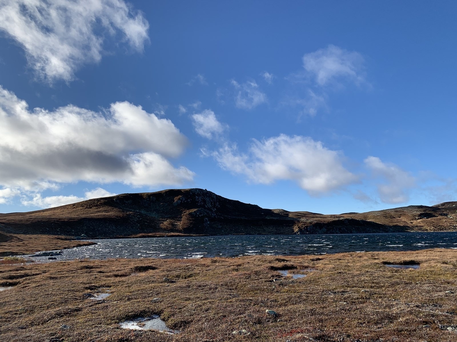 Bilde av nærområdet. Galleribilde