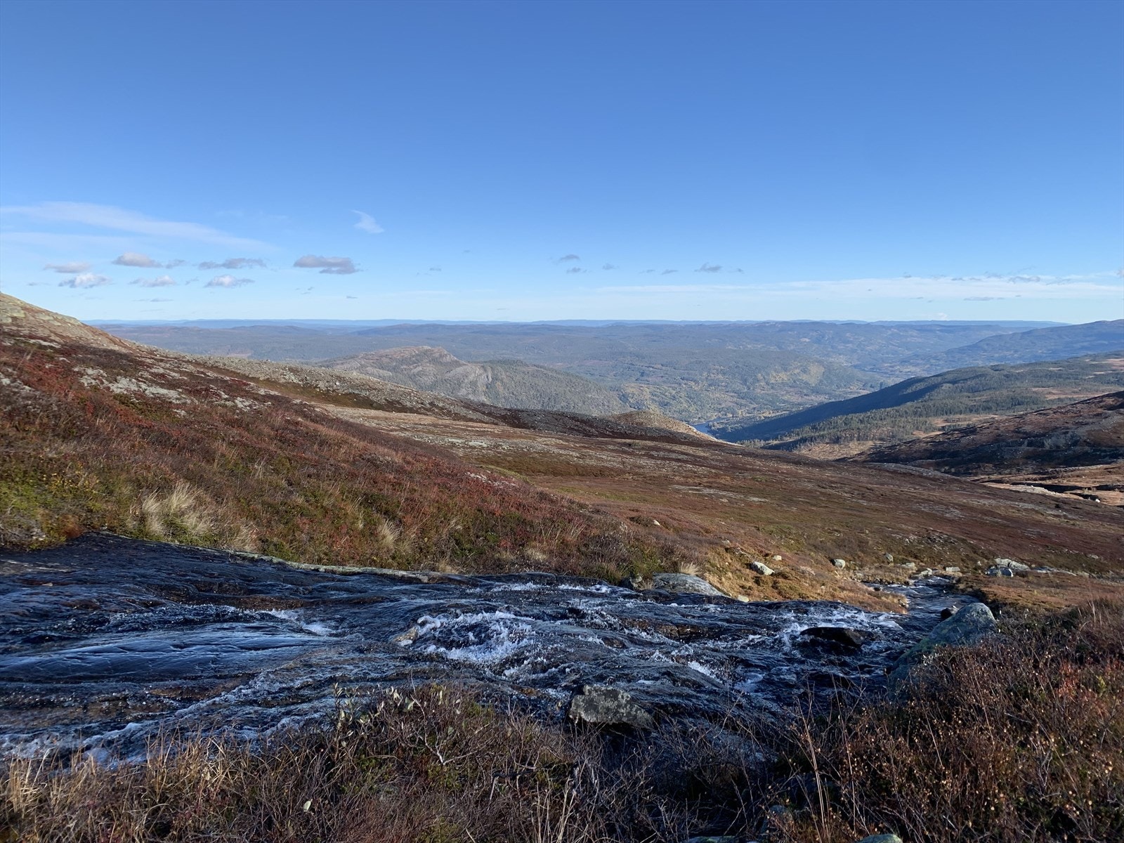 Bilde av nærområdet. Galleribilde