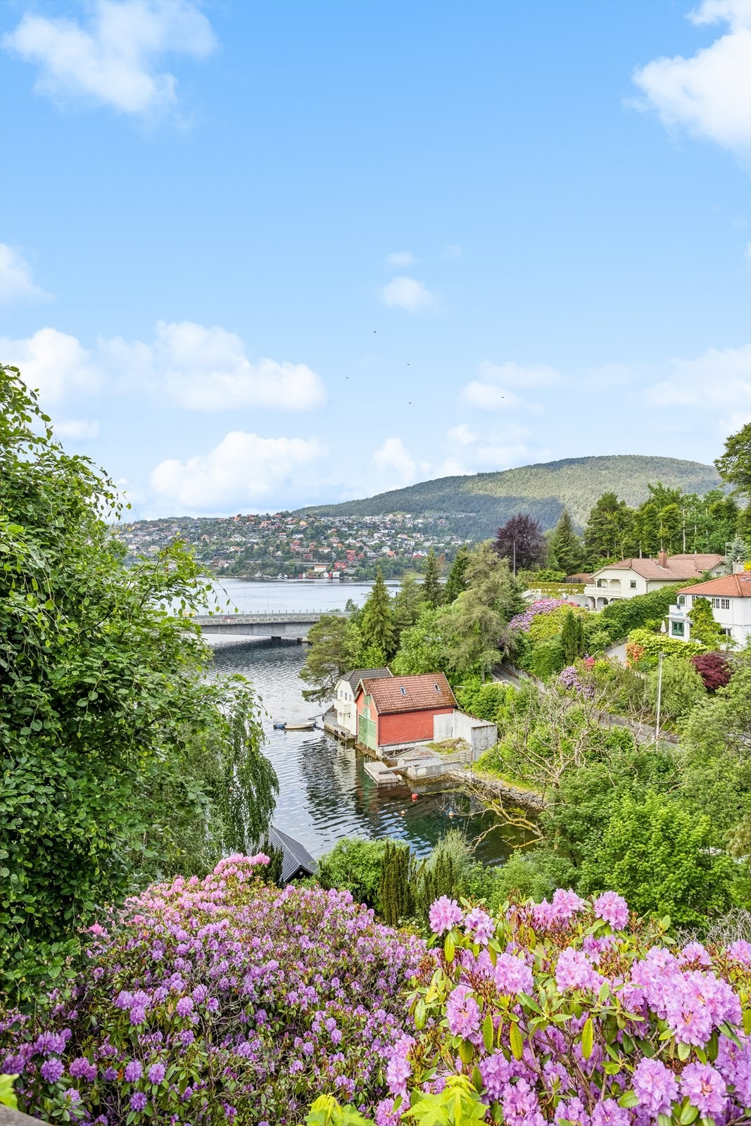 Et av mange utsiktspunkt. Galleribilde