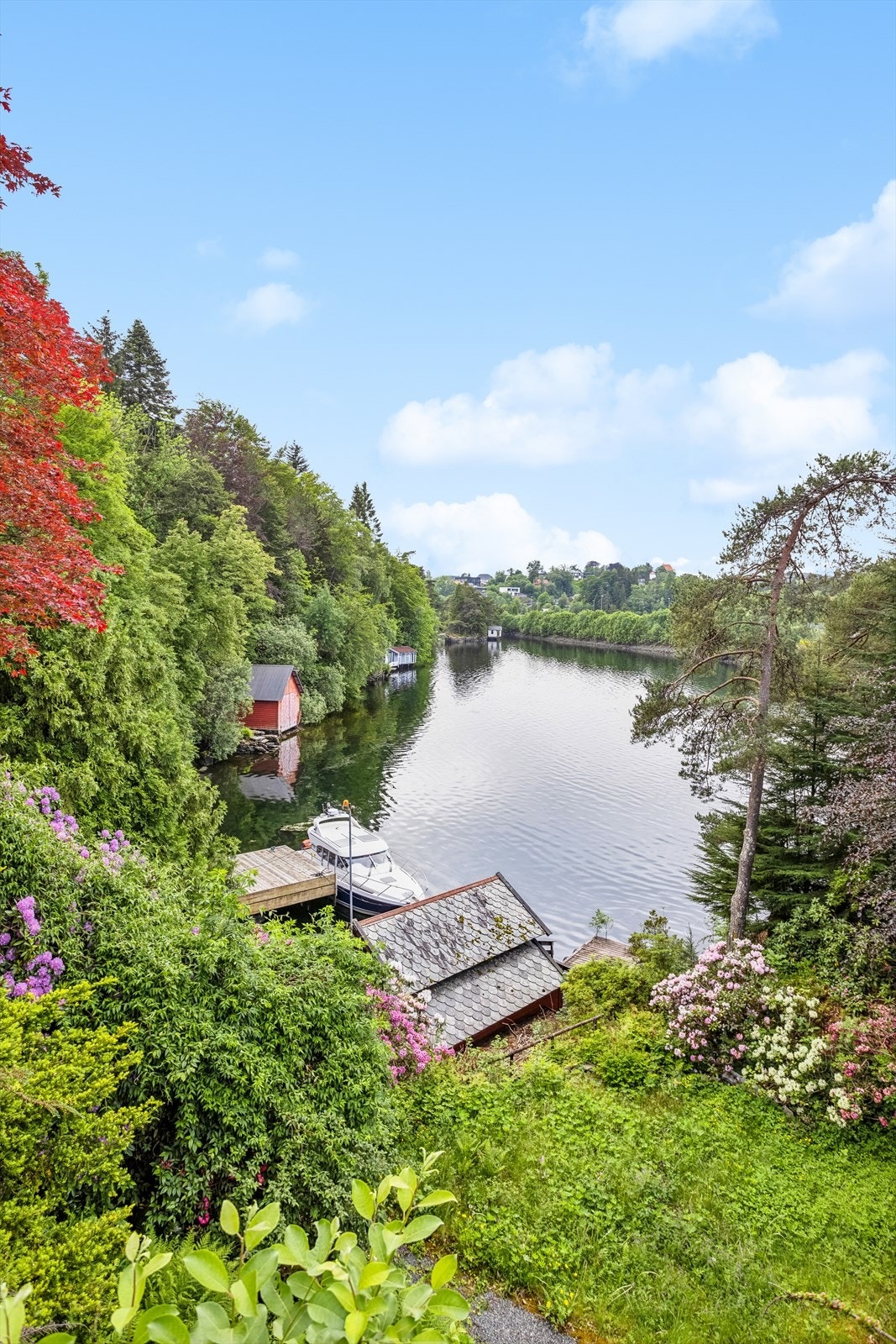 Stor og parkmessig tomt på eiendommen. Galleribilde