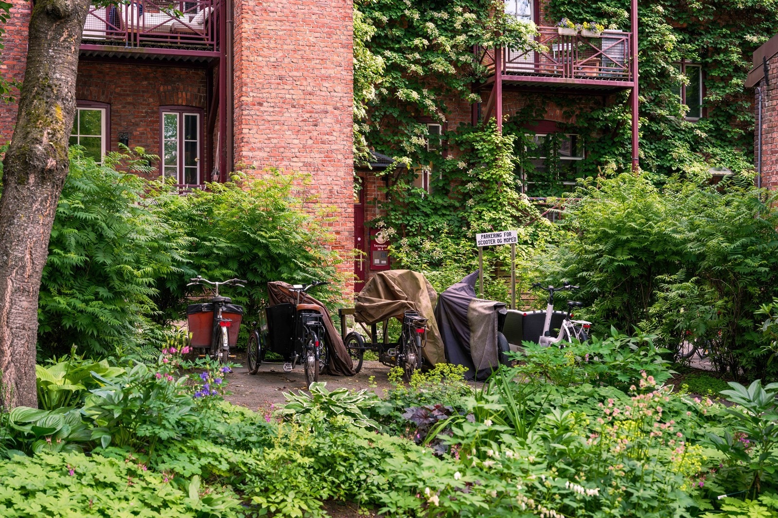 Parkering for større el-sykler og scootere Galleribilde