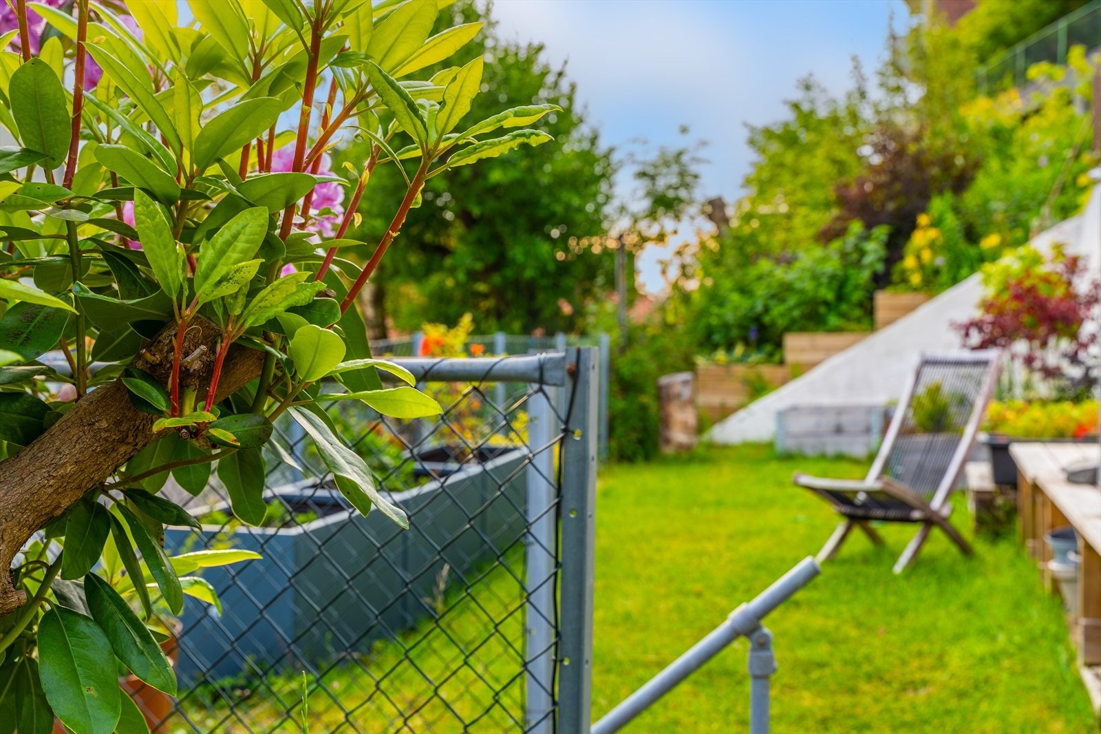 - Tomten er beplantet med prydbusker, trær, blomsterbed rundt inngangspartiet og har egen hage med bær og nydelige blomster - Galleribilde